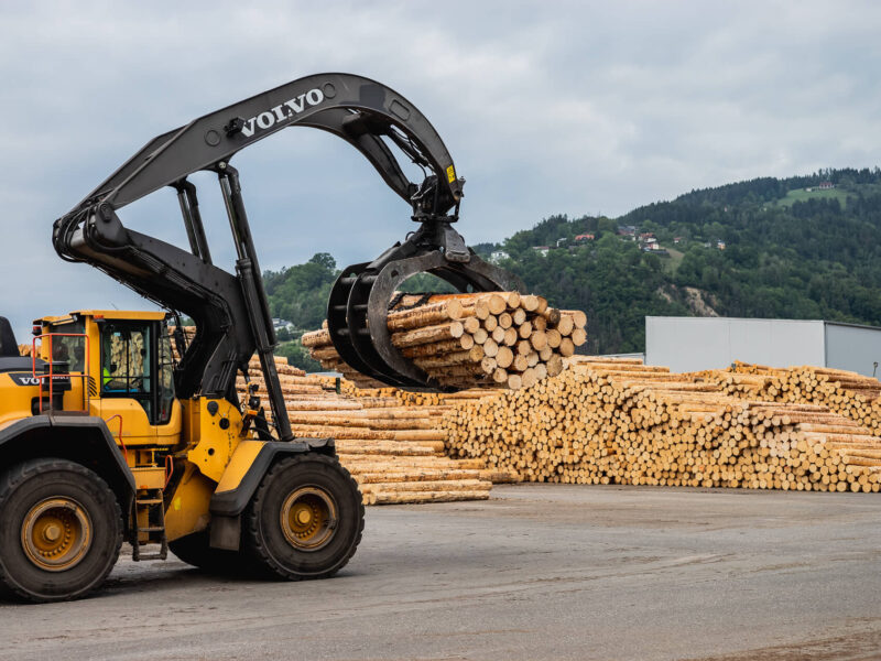 Offner Holzindustrie Sägewerk Österreich (251)